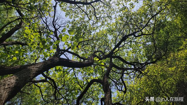 厦门龙洞风景区，厦门龙洞风景区门票多少（厦门龙洞：罕见的峡谷地貌）
