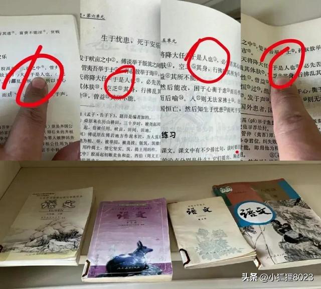 不接受8023是什么网络用语，接受婚检不接受8023是什么意思（“斯人”与“是人”之争是教材问题）