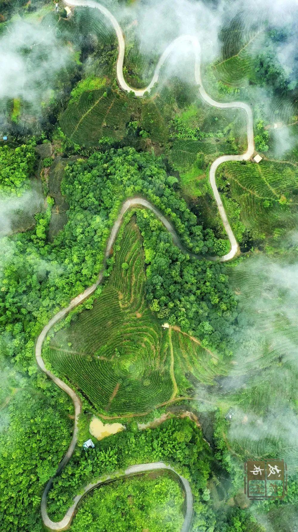 苍梧县六堡镇高速公路图片