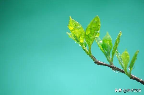 关于立春的经典诗，关于立春的经典古诗（开启诗情画意的一年）