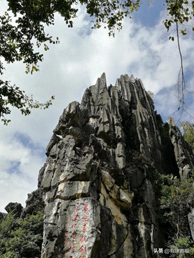 阳春行
