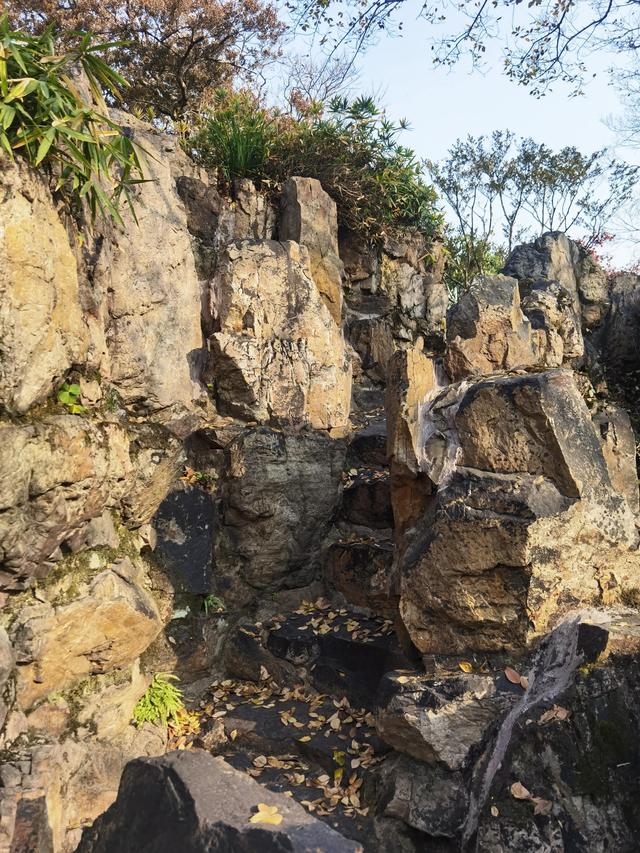 苏州园林之耦园，苏州耦园介绍（<十>从耦园的建设布局学易学）