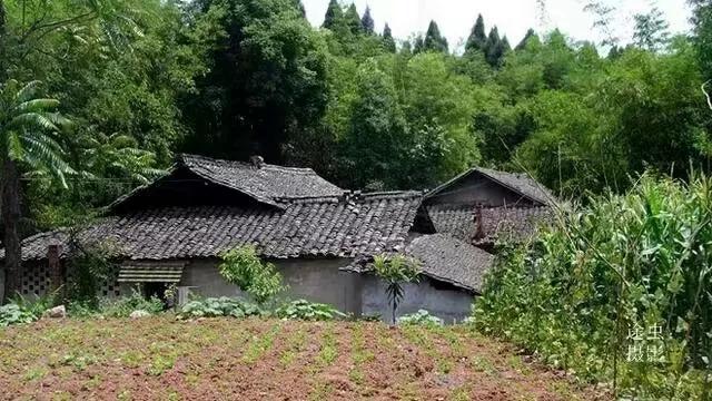 蒙牛牛奶图片，杂芜满目乱丘山——六评程奎先生的长篇小说《皇太极全传》