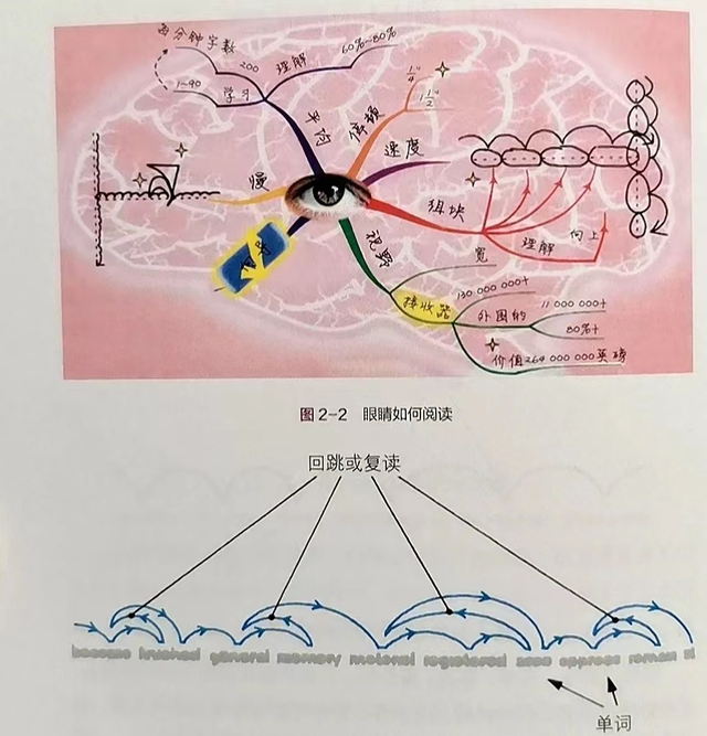 怎样快速提高视力，一分钟降100度近视（掌握高效阅读技巧）