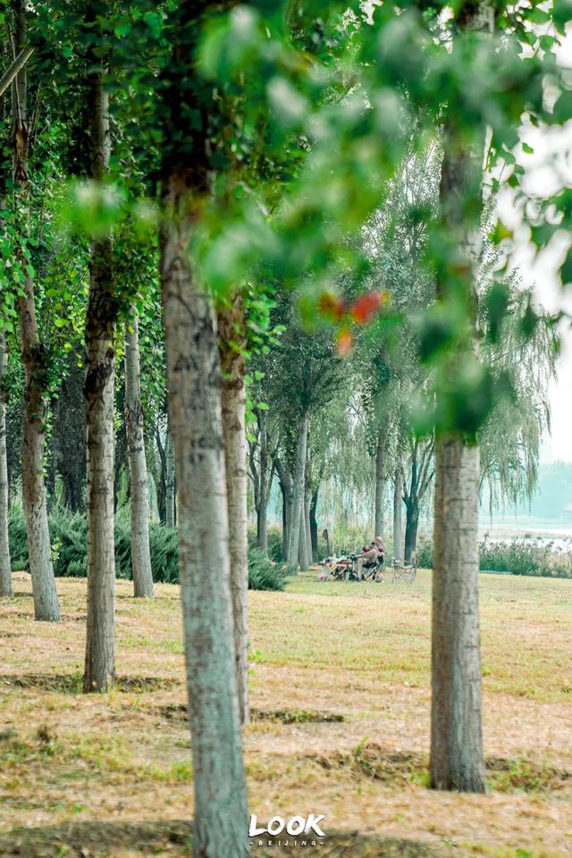 广州越秀公园游玩攻略，广州越秀公园旅游攻略（北京市内最大湿地公园）