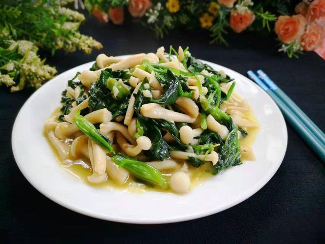 鲜蘑的功效与作用有哪些，鲜蘑的营养成分及功效（也要多吃这6种菌菇）