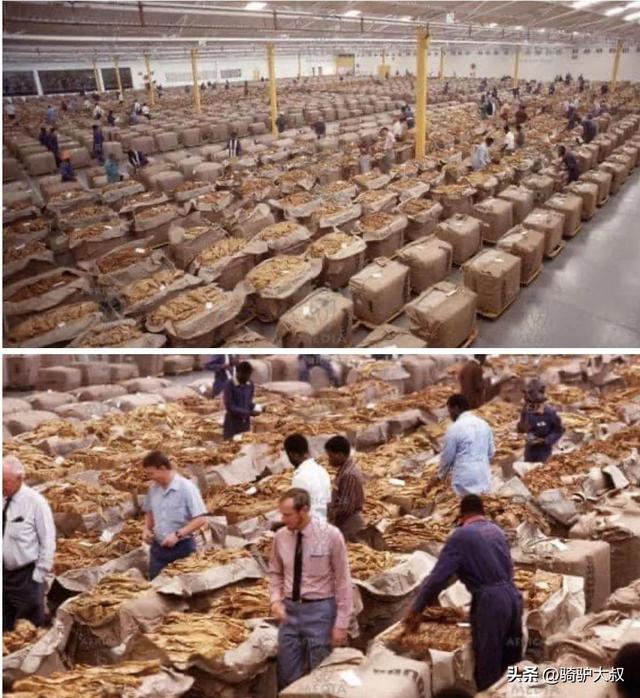 非洲最富有的国家，非洲富裕的国家排名（最穷国家津巴布韦）