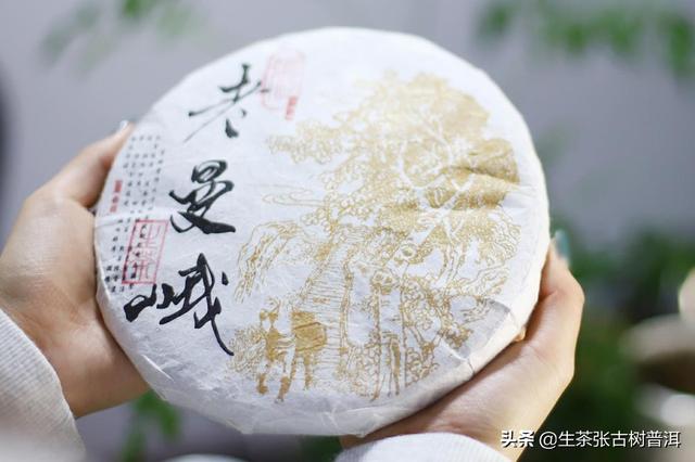 茶叶排行榜前10名，茶叶品牌排行榜前10名（盲入不踩雷的普洱10大名茶）