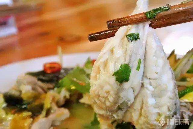 潮汕正宗美食攻略，潮汕美食推荐（潮汕100种美食指南）