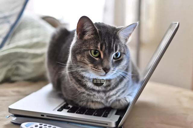 10公斤托运大概多少钱,飞机托运10公斤多少钱(过年多一手准备,多一分底气) 10公斤托运大概多少钱,飞机托运10公斤多少钱(过年多一手准备,多一分底气)