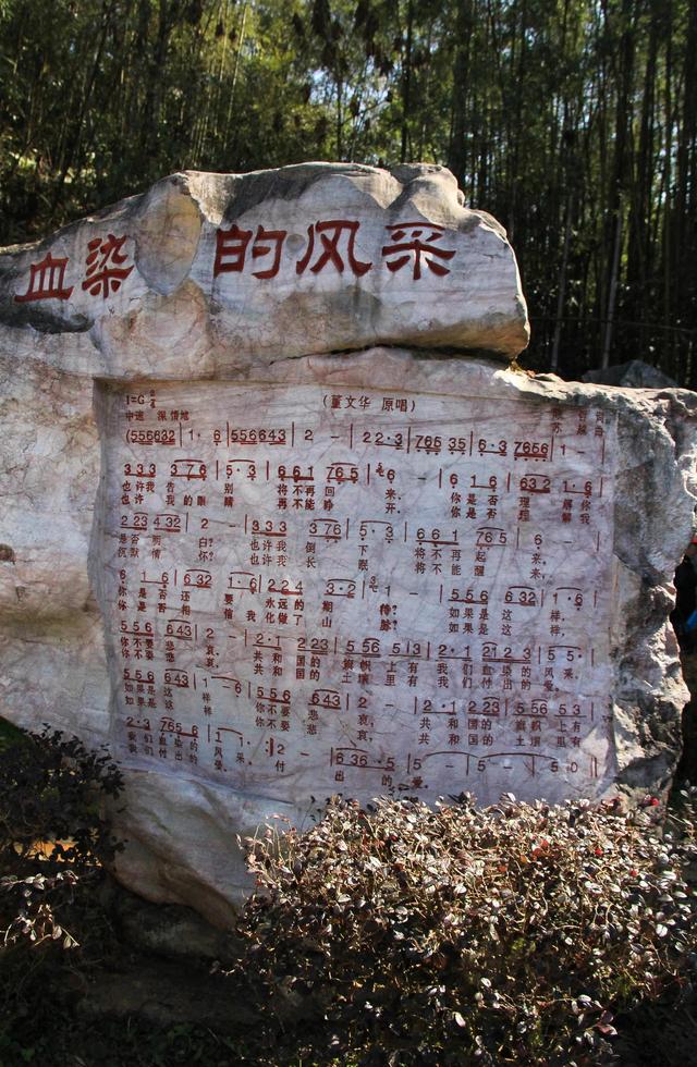 老山主峰风景，致敬英雄，寻访麻栗坡老山主峰