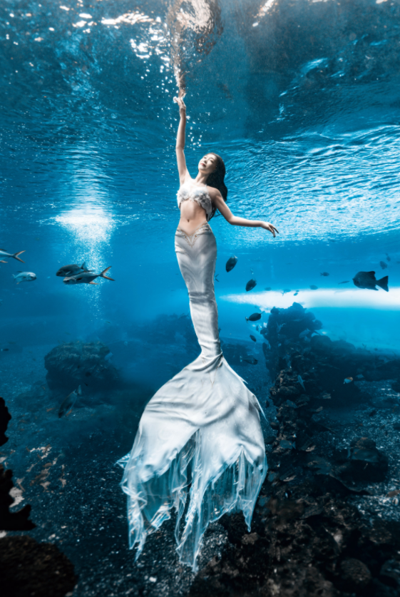 2,31岁宣璐美人鱼大片太惊艳!鱼群中身姿灵动,腰肢纤细大长腿瞩目