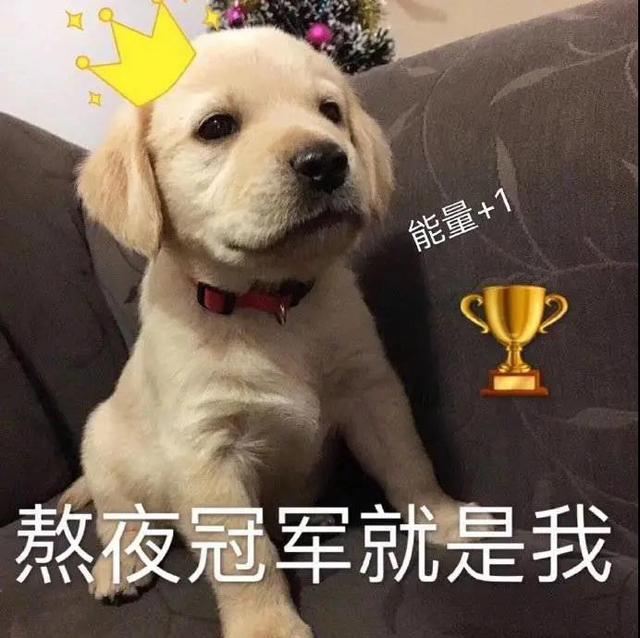 秀一波沙雕可爱的表情包「嗯，肚子还小，还能吃」北木，沙雕可爱小表情包（微信可爱沙雕表情包图片）