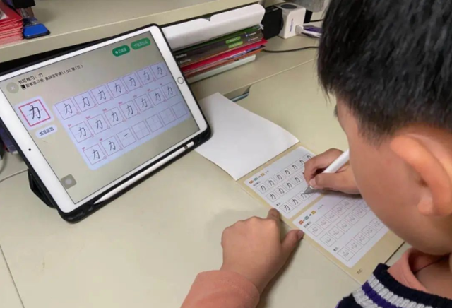 能字笔顺笔画，能的笔顺怎么写（按照“会写—写好—写快”的标准）