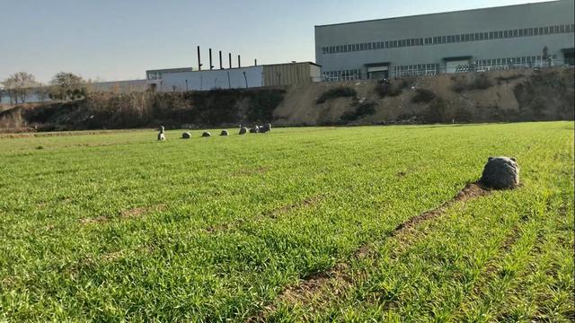 大宋宫词宸妃最后怎么样了，可怜李宸妃被刘娥压制一生