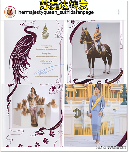 2022贺卡英语祝福语，2020新年贺卡祝福语英语（转发点赞思蕊梵2022贺卡）