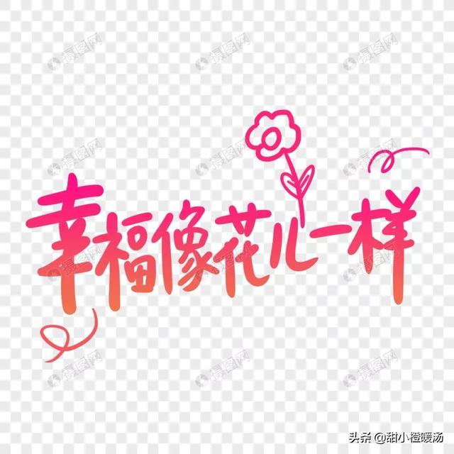 看小说《幸福像花儿一样》