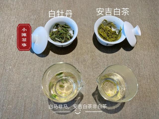 白茶属于哪类茶（从六大茶类角度来看）