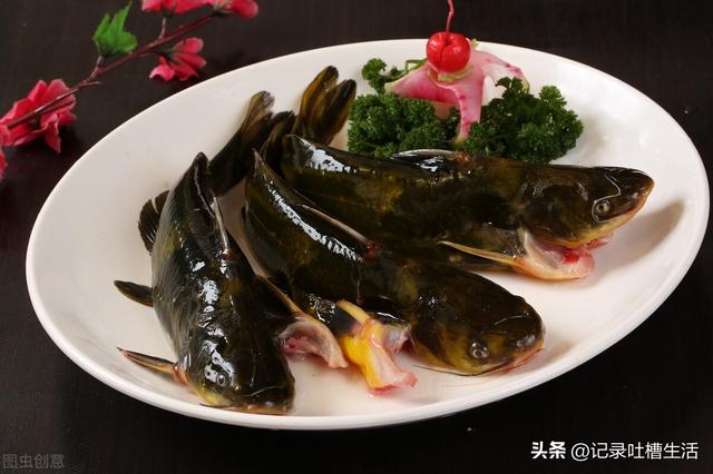 黄鸭叫怎么做才好吃，请听黄鸭叫的叫声，它是鸭吗