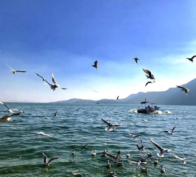 昆明一日游最佳景点一览表，昆明32个最适合一日游的免费景点（四季如春的昆明很适合旅游）