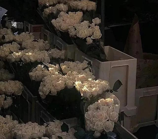 1一100朵玫瑰花代表什么意思，1至100朵玫瑰花各代表什么意思（21世纪玫瑰和爱意泛滥成灾）