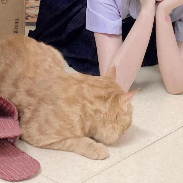 微信头像尺寸是多少，微信头像的尺寸是多少（自己动手拍情侣头像简直太甜了）