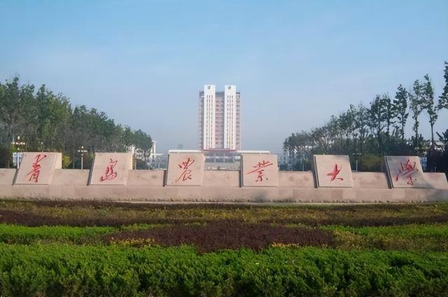 青岛农业大学排名，青岛农业大学排名2022最新排名（搬到青岛后名气反而下降）