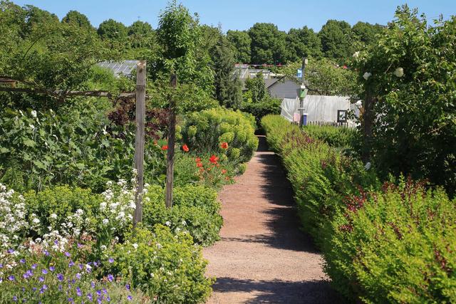 5月20对老公说的话，对老公说的话（致明天的520…给我老公）