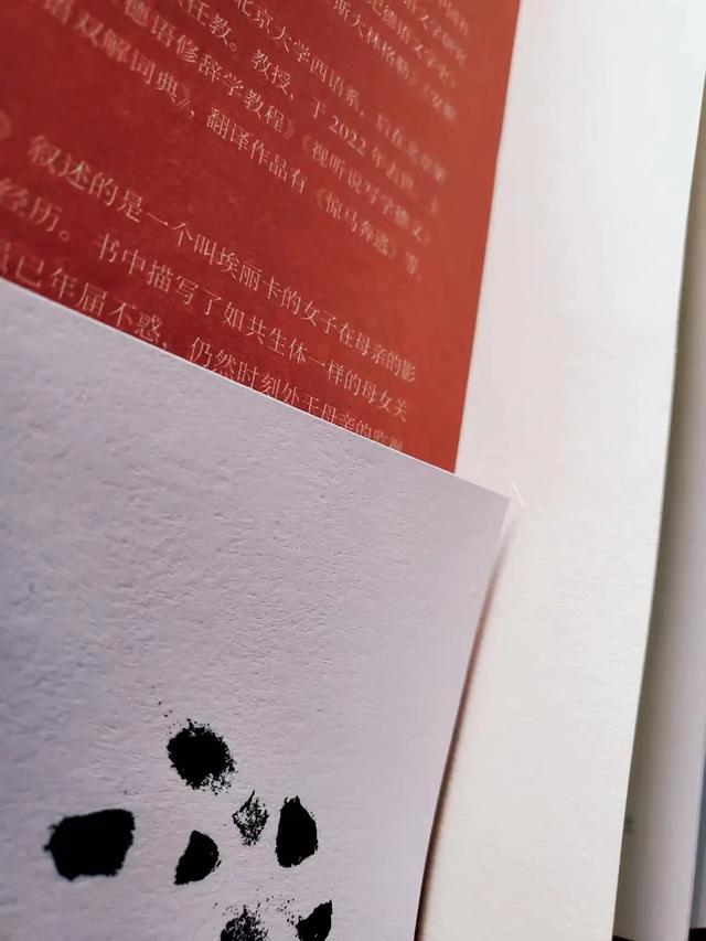 钢琴教师影评，《钢琴教师》：母爱也有阴影