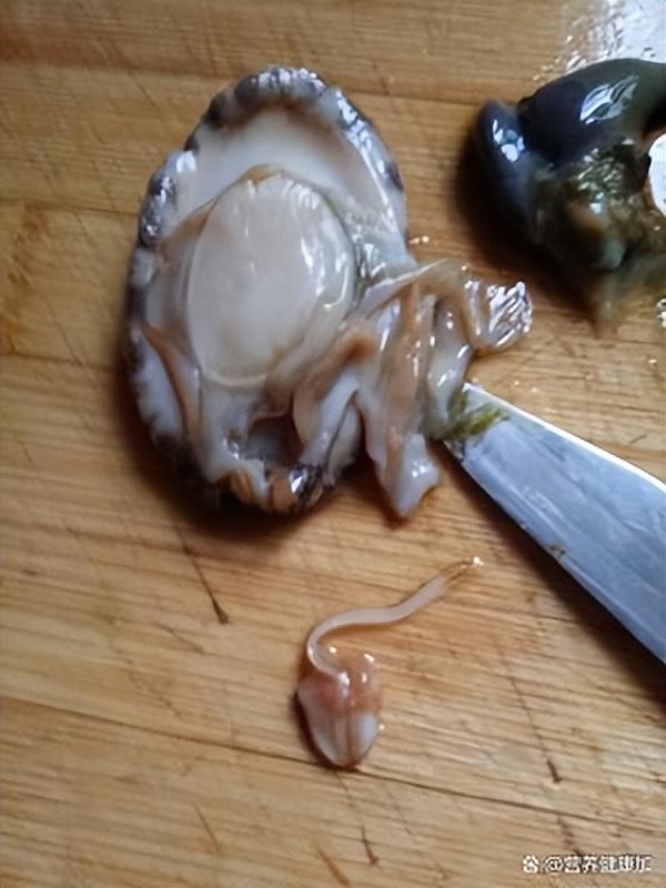 如何清洗鲍鱼内脏图解，如何清洗鲍鱼图解（两种鲍鱼处理详细教程哪个方法更顺手）