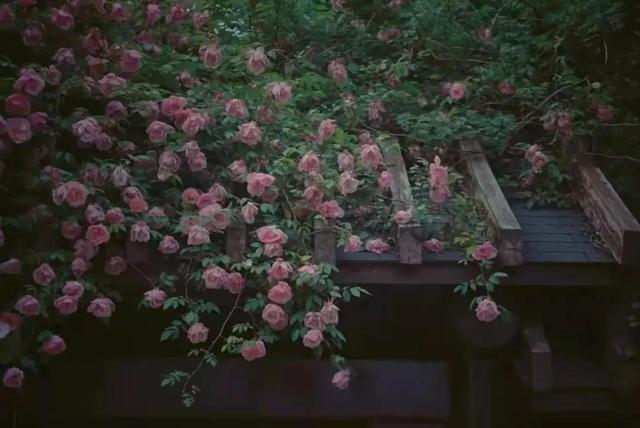 朋友圈显示三天可见是被屏蔽了吗，朋友圈显示三天可见是被屏蔽了吗知乎（“朋友圈”设置三天可见的人）