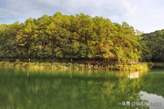 普洱市旅游景点大全，云南普洱有什么景区（发现一个适合发呆放空的好地方）