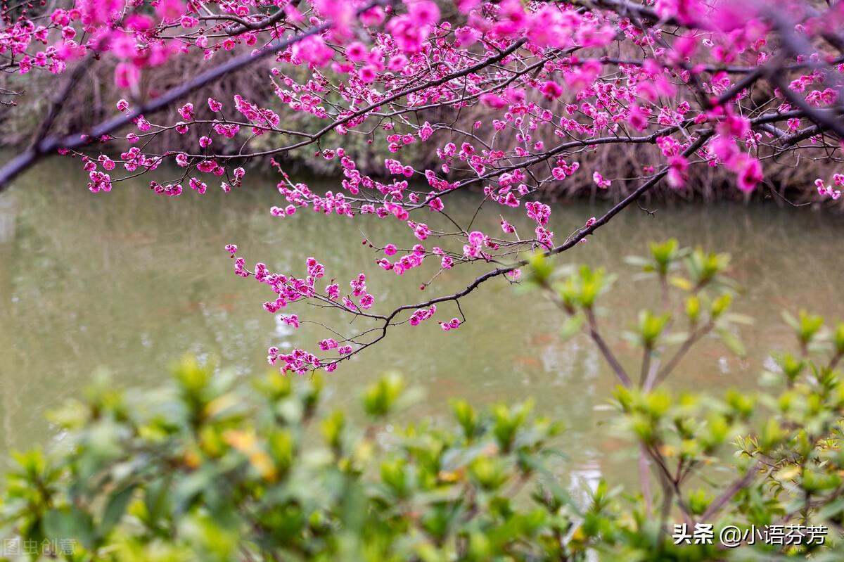 詩經國風王風君子陽陽（國風·王風·君子陽陽）