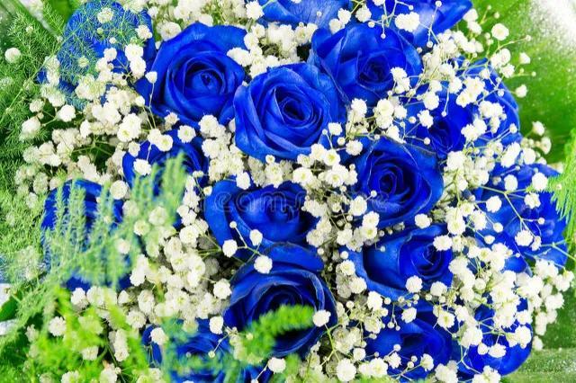 代表友谊的花朵是什么花，代表友谊的花朵是什么花束（七夕情人节你还送烂大街的红玫瑰吗）