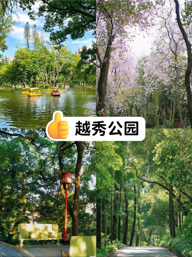 广州最适合去的公园，广州十个必打卡公园<免费篇>