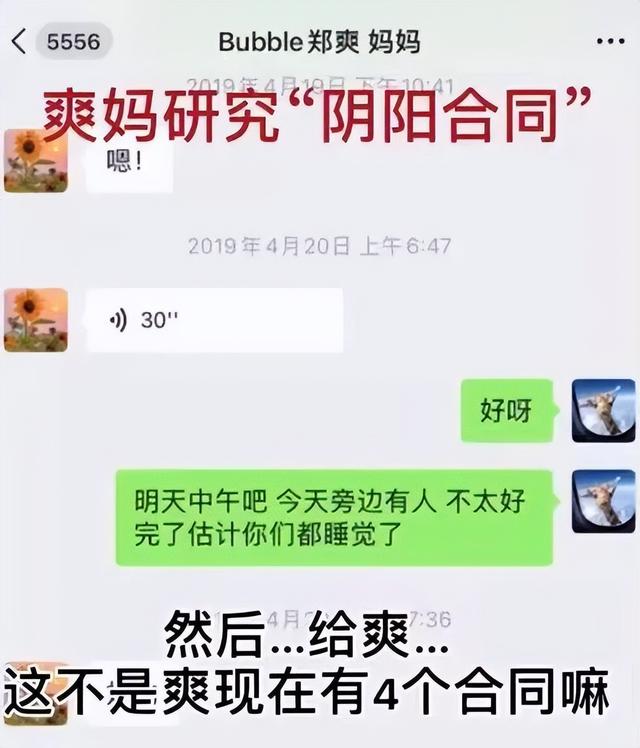 郑爽个人简历，消失的郑爽，在干嘛呢