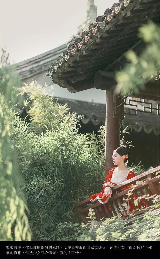 青簪行小说介绍，青簪行作者作品（爆燃探案古装热剧《青簪行》原著《簪中录》古言推理现象级畅销书）