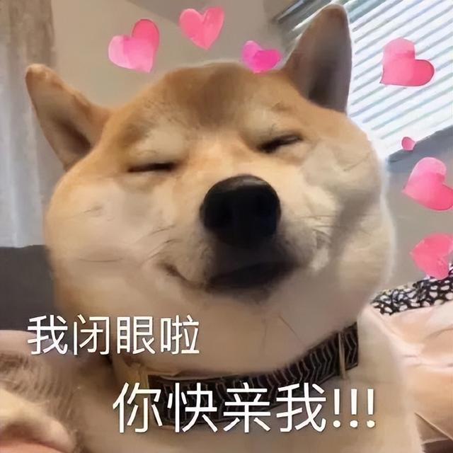 蹭的累是什么意思,蹭代表什么意思(你不会以为它没事找事吧)