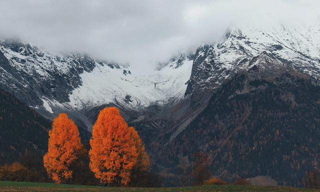 一旦陷入爱情，这些星座就会变的患得患失（越对你冷淡的人）