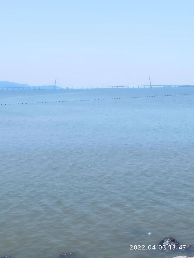 深圳湾公园在哪里，去深圳湾公园怎么预约（深圳湾公园）