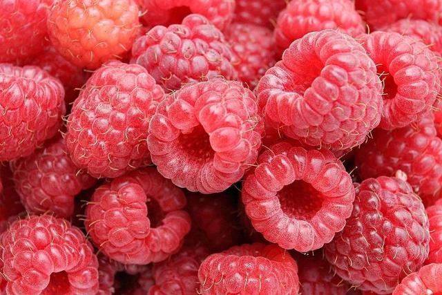 树莓哪个品种好吃产量又高，哪个品种草莓最好吃产量又高（树莓盆栽苗）