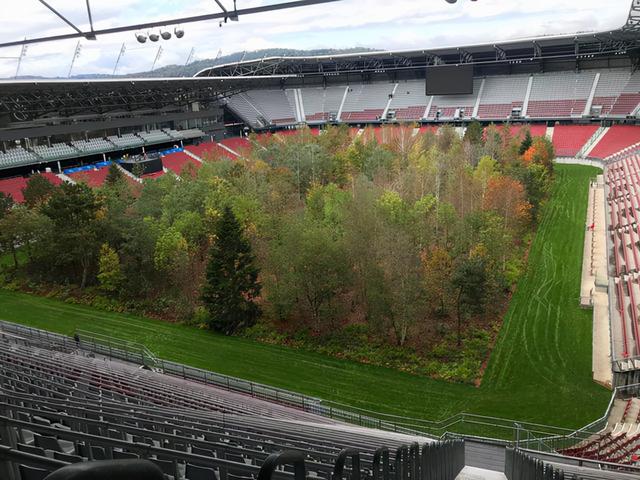 世界灭绝的动物名单，世界灭绝的动物名单网站（30张活久未见的照片）