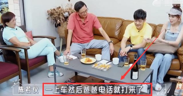 林志颖简历陈若仪简历，林志颖对陈若仪一见钟情
