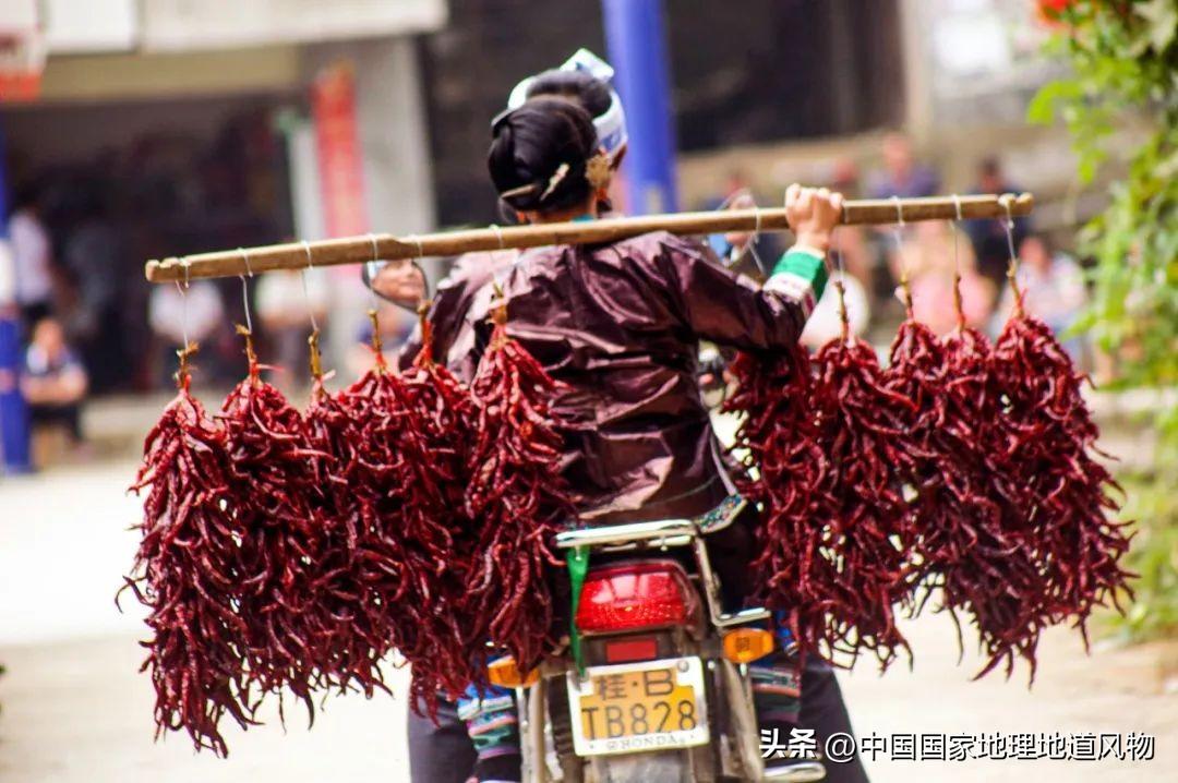 柳州是哪个省(柳州是大城市还是中小城市)