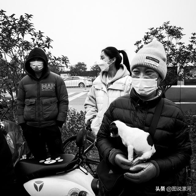 宠物市场在哪里，成都的宠物狗市场在那里呀（漯河宠物市场印象）