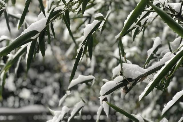 心灵的归宿，家是我们的避风港是心灵的归宿（心灵的归宿唯美句子）