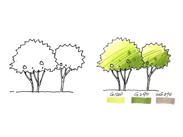 大树的画法简单又漂亮，简单大树的手绘画法（八种超简单背景树的画法+上色）