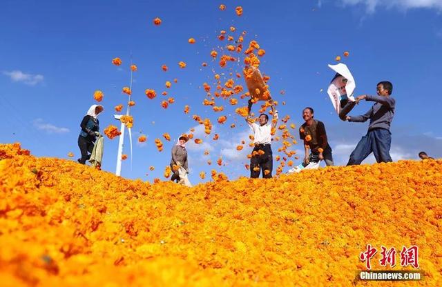 六月六是什么日子，六月六是什么日子定亲好吗（在年轮里安家——中国人的四时礼仪）