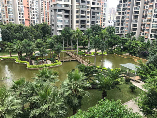 弥勒市属于哪个市，弥勒是云南的那个地方（凭啥成为云南旅居城市的天花板）