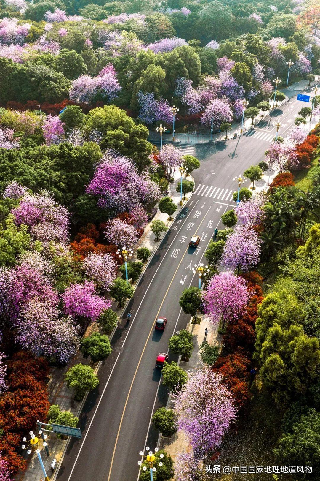 柳州是哪个省(柳州是大城市还是中小城市)
